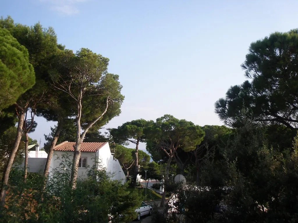 아파트 Los Pinos Apartament Per 4 Persones Amb Piscina Comunitaria A L'Urbanitzacio Los Pinos 플라티야 다로